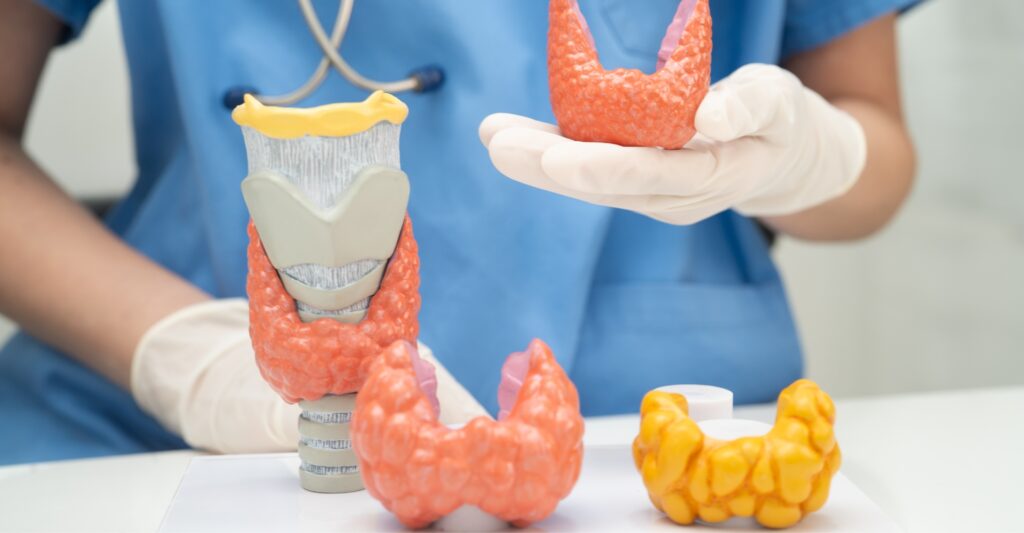 Hypothyroidism vs. Hyperthyroidism: Key Differences Explained